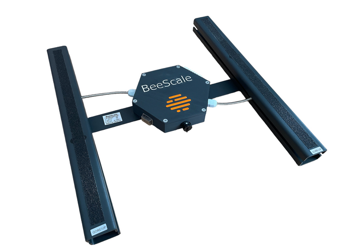 Motrenje medenja 2026.